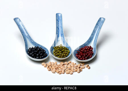 Azuki-Bohnen Schwarzbohnen, Rote Bohnen, Mungo-Bohnen Schwarzaugenbohne,,, Vigna unguiculata, Vigna angularis, Vigna radiata, Vigna mungo Banque D'Images