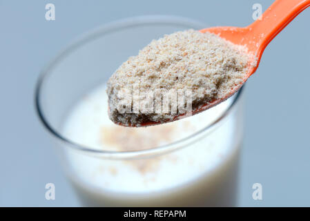 Dans Erdmandelmehl Loeffel und Glas Milch, Cyperus esculentus Banque D'Images