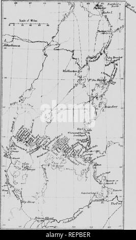 . La vie sauvage au Canada [microforme]. Sciences naturelles ; chasse ; chasse ; histoire naturelle. mm, t ". Veuillez noter que ces images sont extraites de la page numérisée des images qui peuvent avoir été retouchées numériquement pour plus de lisibilité - coloration et l'aspect de ces illustrations ne peut pas parfaitement ressembler à l'œuvre originale.. Buchanan, Augus, 1886-1954. Toronto : McClelland, Goodchild et Stewart Banque D'Images