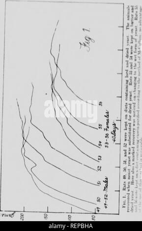 . La valeur comparative de saindoux et de beurre dans la croissance [microform]. Les facteurs de croissance ; les rats ; Facteurs de croissance ; les rats. 64 Mfinlir iniHiti" sur (III. La DGSSS-,. Veuillez noter que ces images sont extraites de la page numérisée des images qui peuvent avoir été retouchées numériquement pour plus de lisibilité - coloration et l'aspect de ces illustrations ne peut pas parfaitement ressembler à l'œuvre originale.. Funk, Casimir, 1884-1967 ; Macallum, Bruce Archibald, 1885-1976. [Toronto]  : University Library Banque D'Images