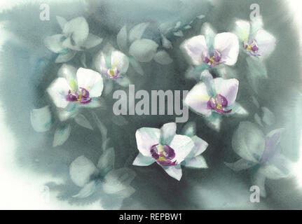Fleurs orchidée blanche sur le fond vert sombre aquarelle Banque D'Images