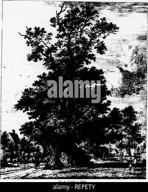 . L'anglais et de plantation d'arbres [microform]. Arbres, Arbres. (H' â t hiUti i. Veuillez noter que ces images sont extraites de la page numérisée des images qui peuvent avoir été retouchées numériquement pour plus de lisibilité - coloration et l'aspect de ces illustrations ne peut pas parfaitement ressembler à l'œuvre originale.. Ablett, William H. London : Smith, Elder Banque D'Images