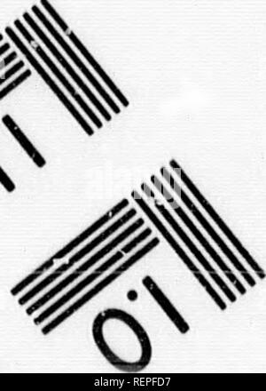 . Truites domestiquées [microforme] : comment se reproduisent et se développent entre eux. Culture du poisson ; Fontaine ; pisciculture ; Truite. ^. ,.&Lt ;• ^ !° MS) r. Veuillez noter que ces images sont extraites de la page numérisée des images qui peuvent avoir été retouchées numériquement pour plus de lisibilité - coloration et l'aspect de ces illustrations ne peut pas parfaitement ressembler à l'œuvre originale.. Pierre, Livingston, 1836-1912. Charlestown, N. H. : [s. n. ] Banque D'Images