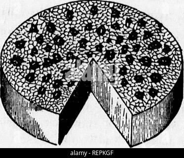 . Class-livre de botanique [microforme] : être présente de la structure, la physiologie et la classification des végétaux : avec une flore des États-Unis et du Canada. Botanique ; botanique ; plantes ; plantes ; botanique ; botanique ; plantes ; Botanique. Système LIGNEUSES THB. 141 Ainsi, le {380,430,470,560,620,720,780,920^ durus difficile) est formé d'un texte ferme et durable- ure, la seule partie d'une valeur en tant que bois. Ses couleurs variées en cerisier, Wal- écrou, bois de rose, sont bien connus. 696 596. Veuillez noter que ces images sont extraites de la page numérisée des images qui peuvent avoir été retouchées numériquement pour plus de lisibilité - coloration et l'aspect de ces Banque D'Images