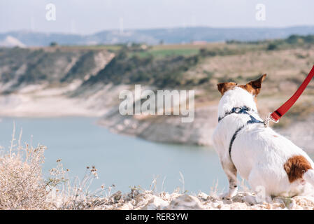 Plein air concept avec chien au cours de la matinée de marche et à la vallée du précipice sur la vue Banque D'Images