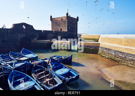 Bateaux bleu d'Essaouira, Maroc Banque D'Images