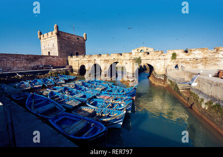 Bateaux bleu d'Essaouira, Maroc Banque D'Images