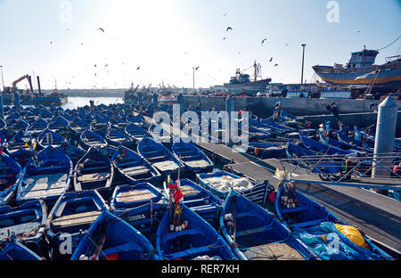 Bateaux bleu d'Essaouira, Maroc Banque D'Images