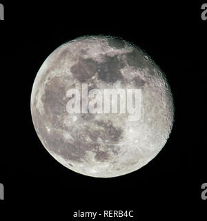 Cumbernauld, North Lanarkshire, UK. 22 janvier 2019. Lune gibbeuse vu un jour après l'Éclipse lunaire totale également connu sous le nom de sang Super Wolf Moon. Les cratères sont visibles en raison de l'angle du soleil frappant le côté de la lune. Crédit : Colin Fisher/Alamy Live News Banque D'Images