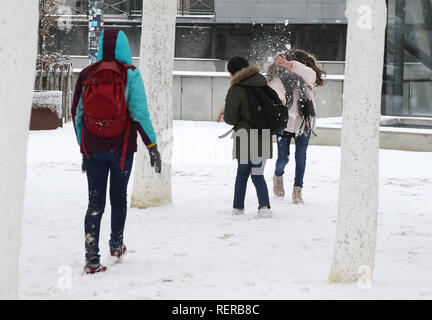 Bruxelles, Belgique. 22 janvier, 2019. Les élèves s'amuser dans la neige dans le centre-ville de Bruxelles, Belgique, le 22 janvier 2019. Credit : Ye Pingfan/Xinhua/Alamy Live News Banque D'Images