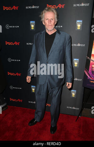 Hollywood, CA. 22 janvier, 2019. Gary Busey au la première projection de morts à l'Ant Chinois TCL 6 cinémas à Hollywood, Californie le 22 janvier 2019. Credit : Faye Sadou/media/Alamy Punch Live News Banque D'Images