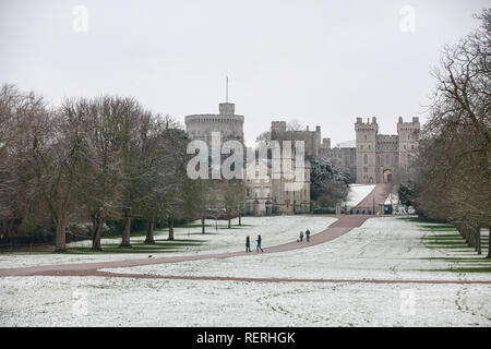 Windsor, Royaume-Uni. 23 Jan, 2019. Météo France : l'année de la première couche de neige le long de la Longue Marche en face du château de Windsor à Windsor Great Park. Prévisions pour aujourd'hui Berkshire est froid, avec éclaircies et un risque d'averses hivernales. Les automobilistes ont été avertis de prendre soin en raison de conditions routières dangereuses. Credit : Mark Kerrison/Alamy Live News Banque D'Images