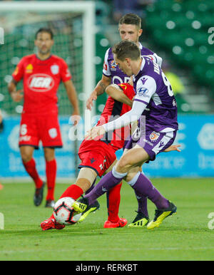 L'HBF Park, Perth, Australie. 23 Jan, 2019. Une Ligue de football, Perth Glory versus Adelaide United ; Neil Kilkenny du Perth Glory aborde Isaias d'Adelaide United Credit : Action Plus Sport/Alamy Live News Banque D'Images