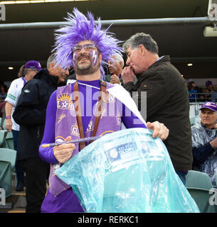 L'HBF Park, Perth, Australie. 23 Jan, 2019. Une Ligue de football, Perth Glory versus Adelaide United ; un partisan du tambour bat sa gloire à l'appui de Perth Glory : Action Crédit Plus Sport/Alamy Live News Banque D'Images