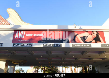 LAS VEGAS, NV - 23 janvier : l'atmosphère au cours de l'AVN 2019 Divertissement pour adultes Expo au Hard Rock Hotel & Casino à Las Vegas, Nevada le 23 janvier 2019. Credit : Damairs MediaPunch/Carter Banque D'Images