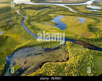 Drone vue, photo aérienne de Vuontisjärvi, de petits lacs et des méandres de la rivière, des boucles dans la forêt boréale de conifères de l'Arctique Banque D'Images