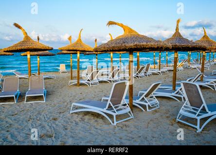 Vide transats et parasols sur la plage, Playa de Muro, Mallorca, Iles Baléares, Espagne Banque D'Images