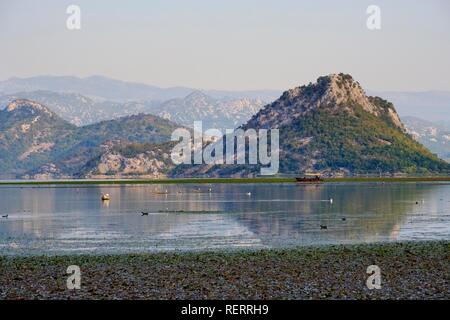 Bateau d'excursion sur le lac de Skadar, près de l'estuaire de Moraca, le parc national du lac de Skadar, Province de Podgorica, Monténégro Banque D'Images