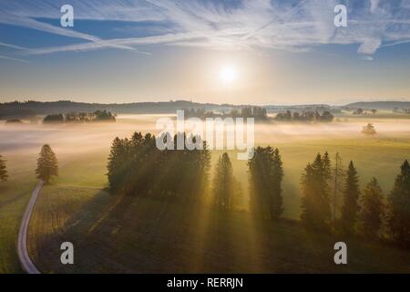 Brouillard au sol au lever du soleil, près de Dietramszell, vue, drone, terres Tölzer Alpenvorland, Oberbayern, Bavière, Allemagne Banque D'Images