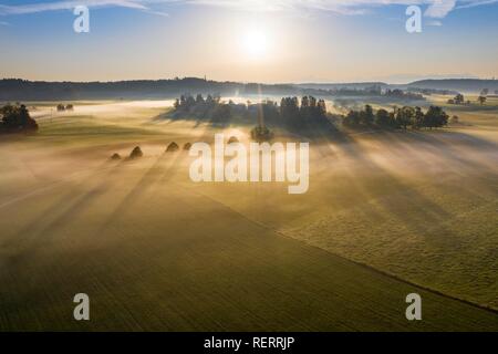 Brouillard au sol au lever du soleil, près de Dietramszell, vue, drone, terres Tölzer Alpenvorland, Oberbayern, Bavière, Allemagne Banque D'Images