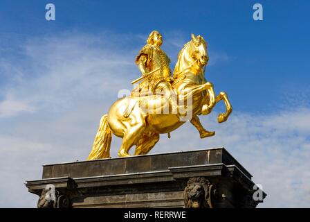 Cavalier d'or, statue équestre de l'Électeur de Saxe et Roi de Pologne, Auguste le Fort, Neustädter Markt Neustadt Banque D'Images