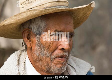 Le vieil homme, portrait, minéral de Possos, Province de Guanajuato, Mexique Banque D'Images