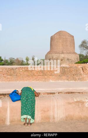 Croyant en prière devant le Dhamekh Stoupa s'Isipatana, Deer Park, Sarnath, Uttar Pradesh, Inde, Asie du Sud Banque D'Images