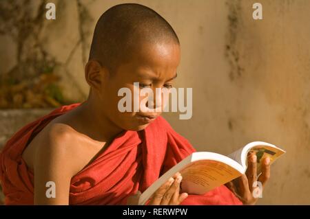 Moine Bouddhiste novice de lire un livre, portrait, Bagan, Myanmar ou Birmanie, Asie du Sud Est Banque D'Images