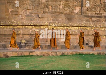 La prière des moines bouddhistes encerclant le Dhamekh Stoupa s'Isipatana, Deer Park, Sarnath, Uttar Pradesh, Inde, Asie du Sud Banque D'Images