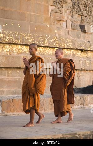 La prière des moines bouddhistes encerclant le Dhamekh Stoupa s'Isipatana, Deer Park, Sarnath, Uttar Pradesh, Inde, Asie du Sud Banque D'Images