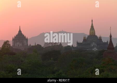 Ananda et Thatbyinnyu Temple au coucher du soleil, Bagan, Birmanie, Myanmar, en Asie du sud-est Banque D'Images