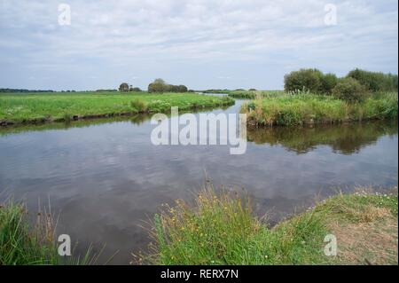 Port de Breca, Site de la Convention de Ramsar sur les zones humides, Parc naturel régional de la Brière ou Grande Brière, Pays de Loire Banque D'Images