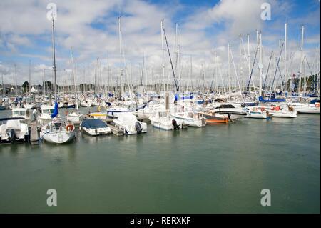 Port de plaisance de La Trinité sur Mer, Morbihan, Bretagne, France, Europe Banque D'Images