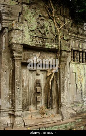 Ruines du temple Beng Mealea envahi par les racines et les arbres, Angkor, Site du patrimoine mondial de l'UNESCO, Siem Reap, Cambodge Banque D'Images