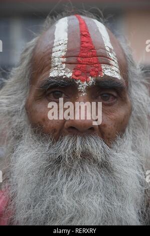 Sadhu, portrait, Udaipur, Rajasthan, Inde, Asie du Sud Banque D'Images