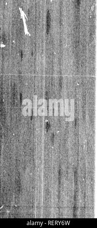 . Grandes lignes de la théologie naturelle à l'usage de l'étudiant canadien [microforme] : choisis et aménagés à partir de la plus authentique des sources. Histoire naturelle ; la théologie naturelle ; sciences naturelles ; ThÃ©ologie naturelle. 594 â i ;. h. Isthme de Suez, et qu'ils ont apporté avec le culte du soleil couchant ; comment est-il possible t résister à la conclusion qu'ils sont venus là de thi plains de Babel, et que la civilisation de l'Egyp a été dérivé des rives de l'Euphrate ? Je n'est plus que probable, par conséquent, que ce qui le peoph s'installe en Égypte étaient d'un type particulier, aj M. Morton sup Banque D'Images