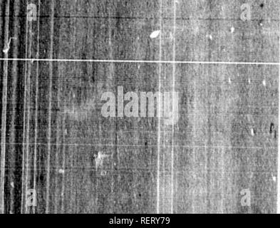 . Grandes lignes de la théologie naturelle à l'usage de l'étudiant canadien [microforme] : choisis et aménagés à partir de la plus authentique des sources. Histoire naturelle ; la théologie naturelle ; sciences naturelles ; ThÃ©ologie naturelle. Si 690)' â ;l. écrit : " Je suis plus que jamais confirmé dans mon vieux sentiment, que l'Afrique du Nord était peuplée par une indigène et les autochtones, lesquels étaient dispos- sessed par tribus asiatiques." Nous avons ici la preuve de changement dans les crânes de courses, résultant de l'apport de sang neuf par l'intrusion de nouvelles familles. Nous appréhendons plus illustrauons la chance n'a pas h Banque D'Images