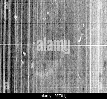 . Grandes lignes de la théologie naturelle à l'usage de l'étudiant canadien [microforme] : choisis et aménagés à partir de la plus authentique des sources. Histoire naturelle ; la théologie naturelle ; sciences naturelles ; théologie naturelle. 496 que même chez les animaux si haut dans l'échelle des mammifères comme le solidungula, le jeune animal est un générique, y compris la couleur en elle, les proportions, les mouvements, et les habitudes du genre ou famille naturelle de l'ensemble de ses espèces, quel que soit placé, et représentant, plus particulièrement dans ce cas, une espèce sauvage de cette famille, jamais domestiqué ou maîtrisée par l'homme. Même ici, où nous devrions Banque D'Images