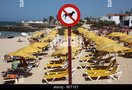 Plage avec un pas de chiens signer à Corralejo, Fuerteventura, Canary Islands, Spain, Europe Banque D'Images