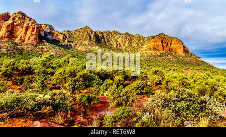 Lee et d'autres montagnes red rock montagnes qui entourent la ville de Sedona en Arizona dans Coconino National Forest, États-Unis d'Amérique Banque D'Images