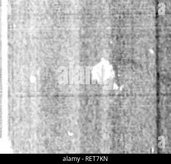 . Grandes lignes de la théologie naturelle à l'usage de l'étudiant canadien [microforme] : choisis et aménagés à partir de la plus authentique des sources. Histoire naturelle ; la théologie naturelle ; sciences naturelles ; ThÃ©ologie naturelle. Â H 445 Falconer, de la plus haute importance, nous allons maintenant étudier l'étendue de l'exploitation de deux lois qui sont censés, et nous croyons vraiment, au VHA ? Régie l'exploitation de l'énergie créative au passé 1. Différents ensembles de couches tertiaires immédiatement saperimposed sur chaque autre, contenir d'intégrer distincts- ded espèces de fossiles, en raison de fluctuations qui ont été de l'Inde Banque D'Images