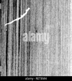 . Grandes lignes de la théologie naturelle à l'usage de l'étudiant canadien [microforme] : choisis et aménagés à partir de la plus authentique des sources. Histoire naturelle ; la théologie naturelle ; sciences naturelles ; théologie naturelle. 288. " Doté d'une endurance cf puissance, qui ig aussi infinies que la toute-puissance par lui-même d'où elle jaillit. Sauf sur de telles considérations, weknownot comment recevoir la déclaration-, " Soyez féconds et multipliez, et remplissez la terre ; voici, je vous ai donné toute herbe portant semence, et tout arbre dans lequel est le fruit d'arbre portant semence. Que la terre produise Banque D'Images