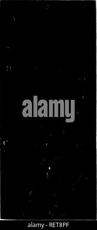 . Grandes lignes de la théologie naturelle à l'usage de l'étudiant canadien [microforme] : choisis et aménagés à partir de la plus authentique des sources. Histoire naturelle ; la théologie naturelle ; sciences naturelles ; ThÃ©ologie naturelle. |268 H ; li 1 !â 1, i' , â mi' ! Â Â !  ! ' 'Je ' , J'» 1) ! LiM ; je si je l,Ji ^8'8- défini les contours. À R, les cavités et leur endoplasts contaiaed allongées, un peu d'arc et de légères stri* ationis évident dans la partie supérieure de la substance, qui periplastic becomos de plus en plus fort, comme nous passions plus bas, jusqu'à ce qu'il se termine par une fibrillation auriculaire. Un produit chimique cha Banque D'Images