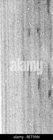 . Grandes lignes de la théologie naturelle à l'usage de l'étudiant canadien [microforme] : choisis et aménagés à partir de la plus authentique des sources. Histoire naturelle ; la théologie naturelle ; sciences naturelles ; ThÃ©ologie naturelle. 68- l'aii en conséquence il ne peut pas y avoir de vide. La réponse me paraît être, d'abord, que nous n'avons aucune preuve d'un vide d'avoir jamais été formé. Le Torricellian vide, la plus parfaite que nous connaissons, est remplie de la vapeur de mercure. Les expériences de Davy sur ce point prouver, à tous les événements, la formation d'une dépression d'avoir été, jusqu'à ce moment, irréaliste. Le Seco Banque D'Images