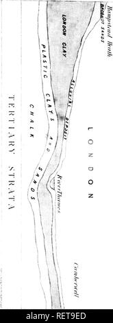 . Grandes lignes de la théologie naturelle à l'usage de l'étudiant canadien [microforme] : choisis et aménagés à partir de la plus authentique des sources. Histoire naturelle ; la théologie naturelle ; sciences naturelles ; théologie naturelle. . Veuillez noter que ces images sont extraites de la page numérisée des images qui peuvent avoir été retouchées numériquement pour plus de lisibilité - coloration et l'aspect de ces illustrations ne peut pas parfaitement ressembler à l'œuvre originale.. Bovell, James, 1817-1880. [Toronto ?  : S. n. ] Banque D'Images