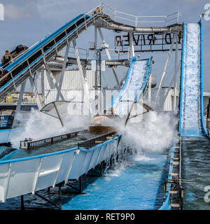 Fleuve sauvage log flume sur Palace Pier de Brighton Banque D'Images