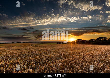 Près de Caistor, Lincolnshire, Royaume-Uni, juillet 2017, vue du Lincolnshire Wolds et un coucher de soleil Banque D'Images