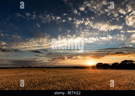 Près de Caistor, Lincolnshire, Royaume-Uni, juillet 2017, vue du Lincolnshire Wolds et un coucher de soleil Banque D'Images