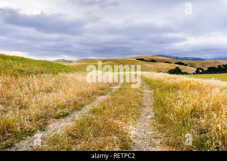 Sentier de marche entre les collines et les vallées couvertes dans l'herbe sèche, au sud de la baie de San Francisco, San Jose, Californie Banque D'Images