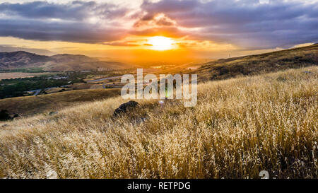 De l'herbe sèche qui brille dans le coucher de soleil sur les collines du sud de San Francisco, le Bayshore Freeway visible dans la vallée, San Jose, Californ Banque D'Images